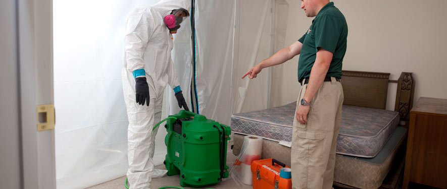 London, ON mold removal process